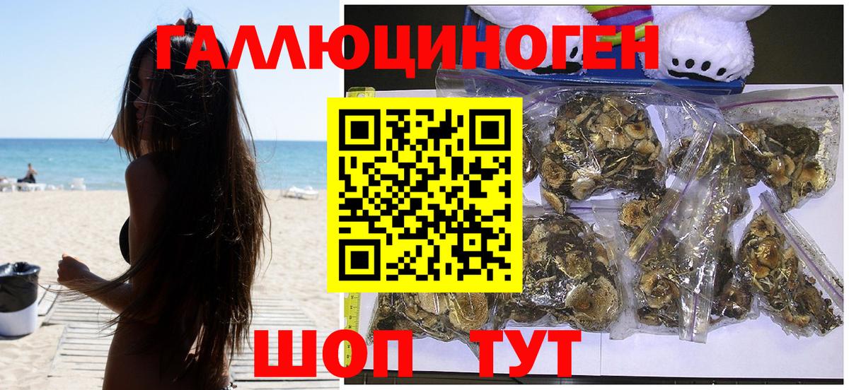 Лабинск  Галлюциногенные грибы GOLDEN TEACHER  Вход с VPN 