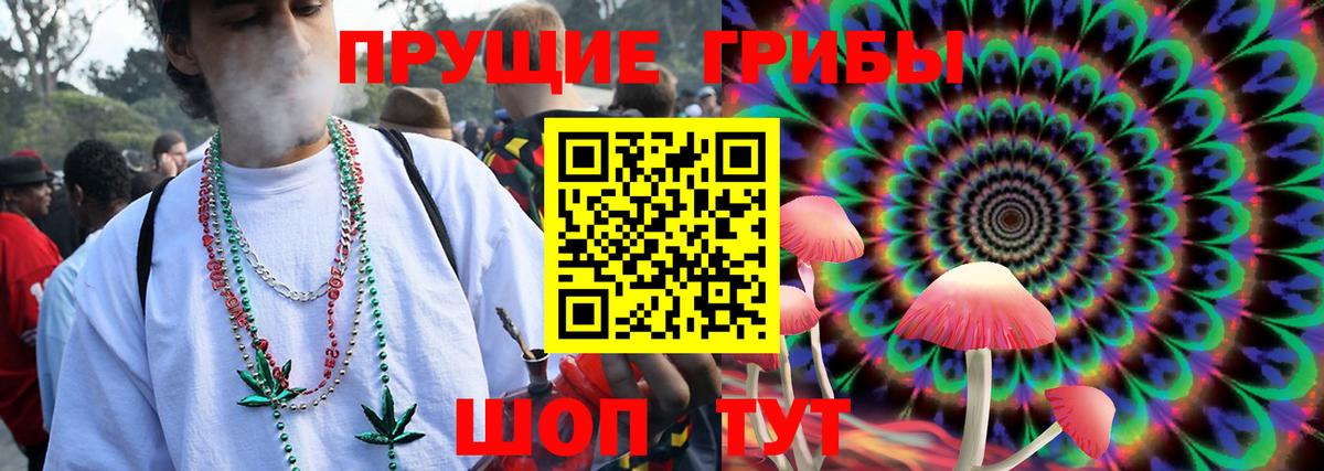 Псилоцибиновые грибы Cubensis Лабинск